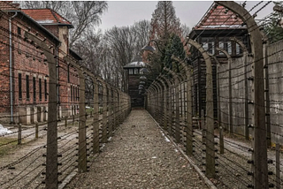 Auschwitz Memorial excoriates Elon Musk’s X for failing to act on Holocaust denial