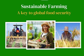 Sustainable Farming: A Key to Global Food Security