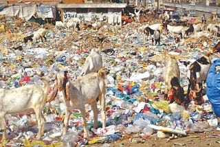 Pakistan’s War on Polythene and the Search for an Alternative