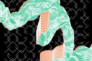 Monogram by Arctic — Introduction to LNS Generative Artwork