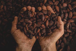 hands holding Cacao
