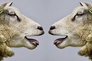 The Cloud Native Community Needs to Talk about Testing