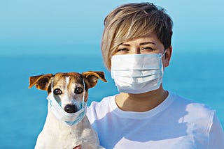 Pets and Coronavirus: Preparing to keep the whole family safe from COVID-19