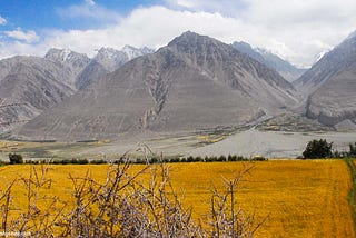Tajikistan — rugged mountains, quaint valleys, and many sheep!