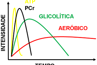 METABOLISMO — O que isso significa e como isso se aplica no treinamento físico?