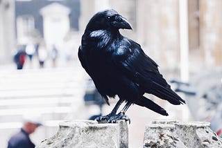 Crow Boy Of The City