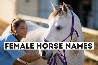 Female Horse Name Ideas