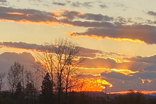 After the Storm — 2.0 — Mary Lane, South Eugene, Oregon, USA