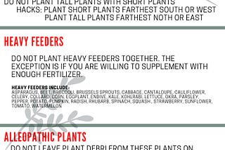 IS COMPANION PLANTING ACTUALLY IMPORTANT?