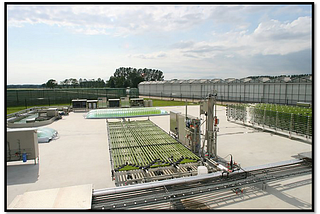 Microalgae Biorefinery Plants Make Sense, Don’t They?