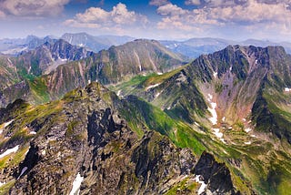 Guardians of the glades: protecting Europe’s forests against climate change