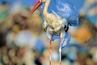 Don’t make life of our animals drastic, CUT THE PLASTIC.