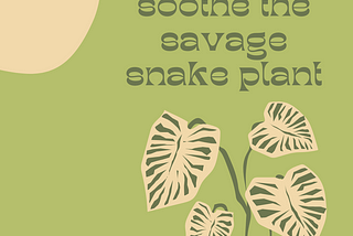 music to soothe the savage snake plant