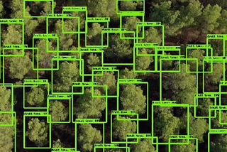 TreeChain: NFTs for Trees