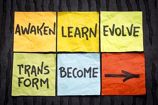 Scaling Agile: Don’t Conform, Transform