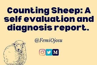 Counting Sheep: A self evaluation and diagnosis report.