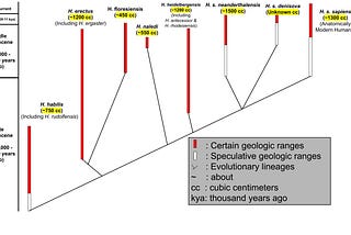 How Many Human Species Were There?