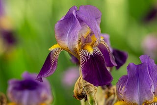 5 Things People Living Without Brain Changes Can Change