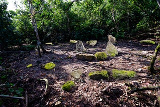 Native Gums