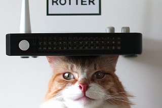 clean architecture kitty