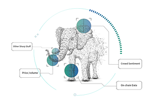 Valuing crypto-assets with “Behaviour Elephant Analysis”