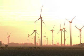 Utter folly. UK’s expansion of wind farms could lead to ecological disaster.