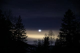 InSalvis: A Werewolf’s Tale — Chapter 9