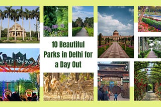 10 Beautiful Parks in Delhi for a Day Out