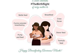 Breastfeeding Awareness Month: Breaking Stigmas, Educating Our Community & Enabling Parents!