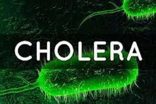 CHOLERA OUTBREAK IN STOCKHOLM: DATA ANALYSIS