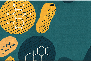 Dietary Fats and Blood Cholesterol: The Overlooked Details That Matter