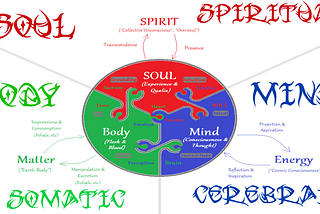 SPIRITUAL vs. SOMATIC vs. CEREBRAL