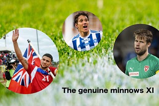 The genuine minnows XI