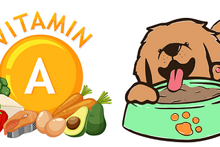 Vitamin A for Engineering teams: Dogfooding your product