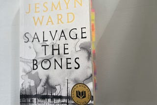 Quick Thoughts: Salvage The Bones