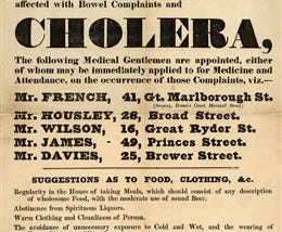 The Curious Fate of Pimlico in the Time of The Sweating Sickness.