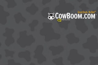 How We Use Best Buy APIs: A Conversation with CowBoom