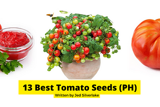 13 Best Tomato Seeds Philippines 2022 (w/ Free Discount)