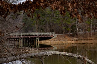 A view of the bridge, surrounded by tree branches and leaves out of focus in the foreground.