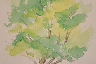 water color of tree