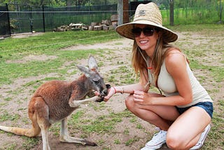Feeding Kangaroos in Sydney