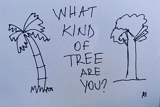 What kind of tree are you?