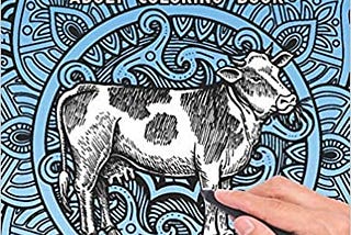 Cows adult coloring book