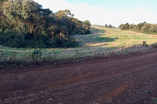 Área com agricultura convencional na região da Bacia Hidrográfica do Rio das Pedras, em Guarapuava. Foto: Cléber Moletta/Rádio Cultura FM Guarapuava.