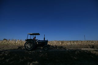 Hit by drought, Italy’s agricultural heartland feels the heat