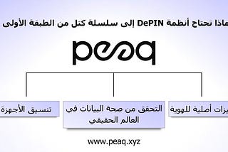 لماذا تحتاج أنظمة DePIN إلى سلسلة كتل من الطبقة الأولى خاصة بالقطاع؟