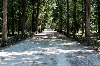 An Invitation to Life