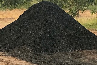 Harnessing Biochar: A Profitable and Sustainable Solution for Climate Action