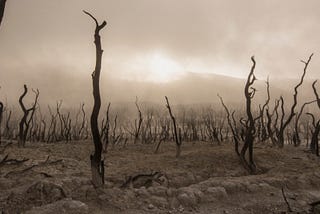 Cuándo abandonar un proyecto (o una carrera)