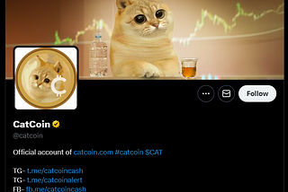 How to Create and Launch a Meme Coin in less than 0.35 SOL